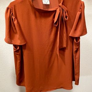 Pumpkin spice blouse